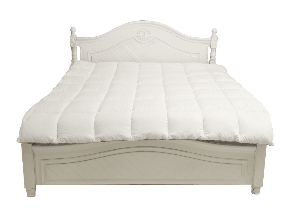 Dvostruka boja od poliestera u boji